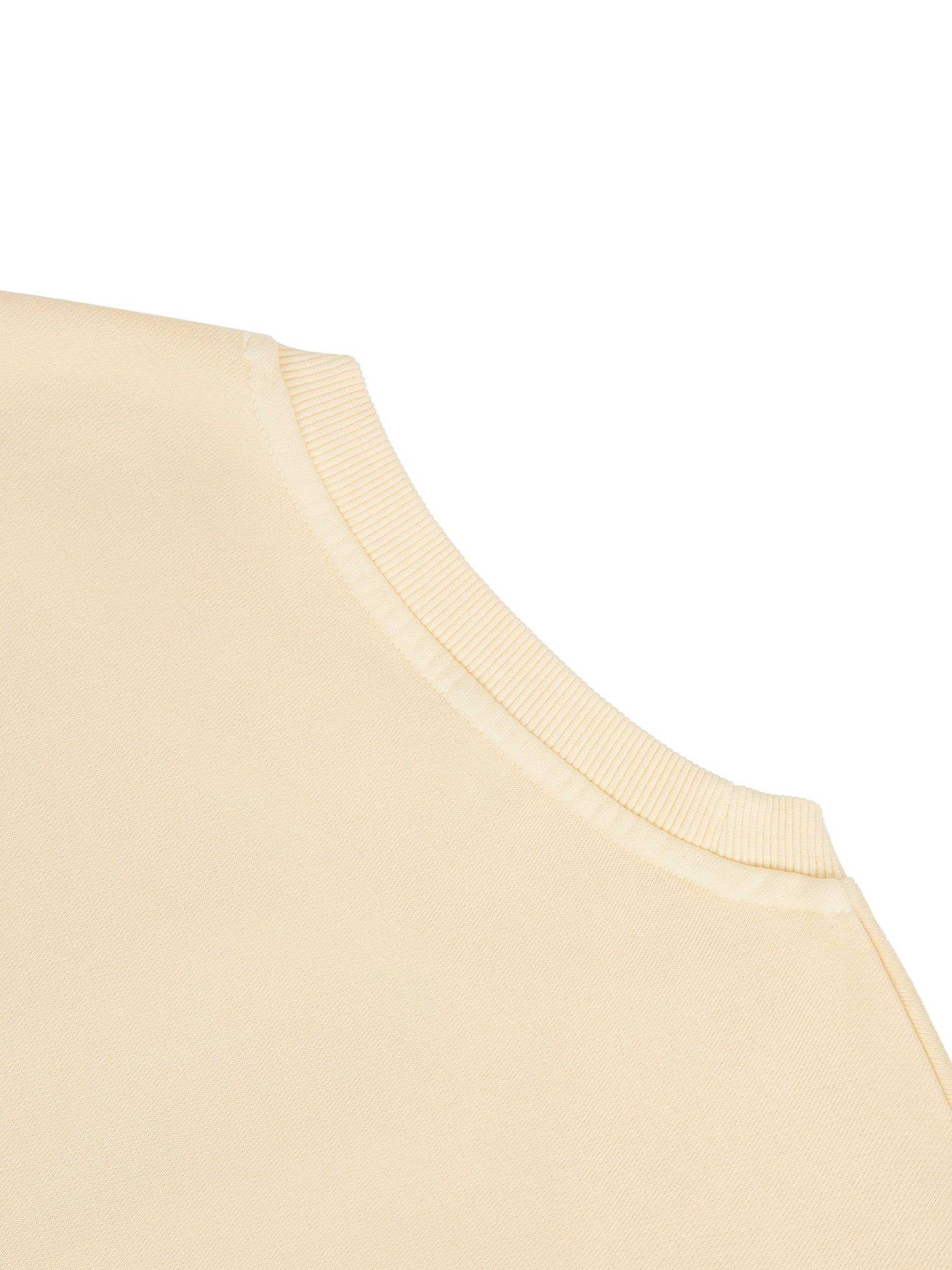 Vintage Washed Cropped Sweatshirt